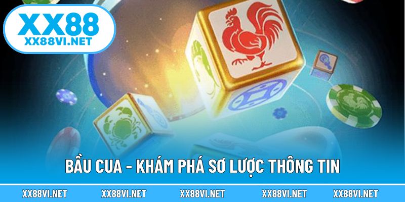 Bầu cua - Khám phá sơ lược thông tin