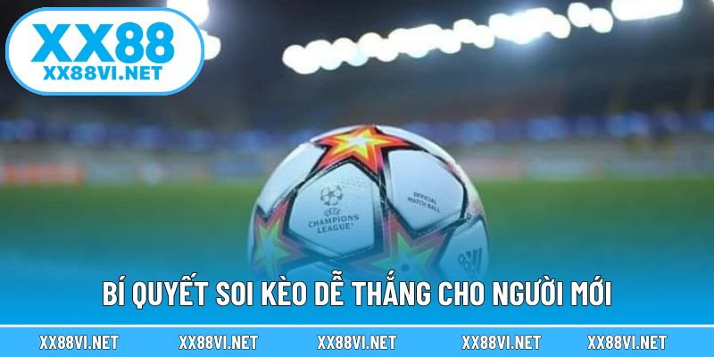Bí quyết soi kèo dễ thắng cho người mới