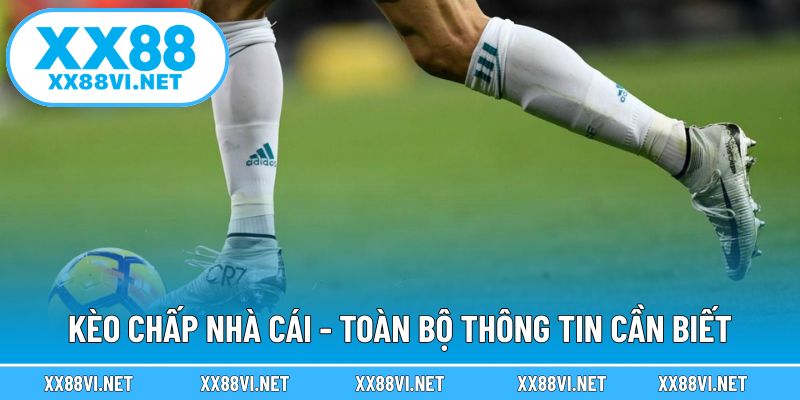 Kèo chấp nhà cái - Toàn bộ thông tin cần biết